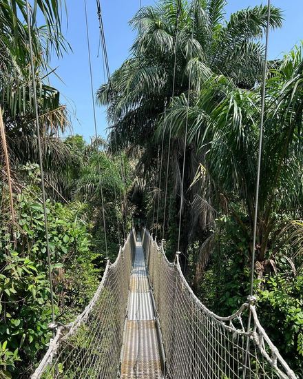 Lekki canopy walkway