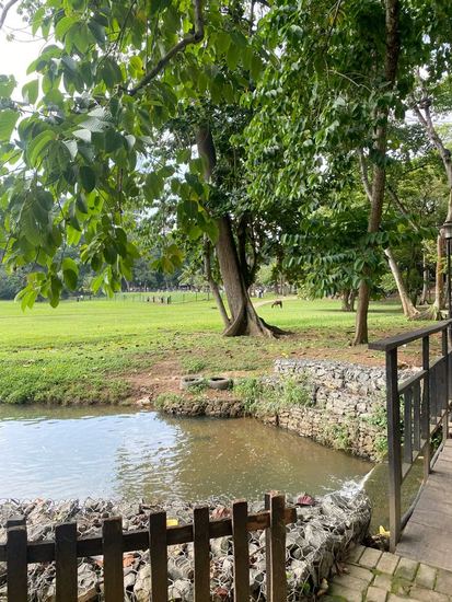 Agodi Gardens pond